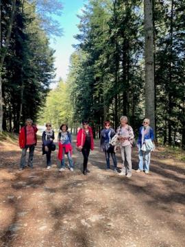 Bistriški Placarji na Pohorju, maj 2022